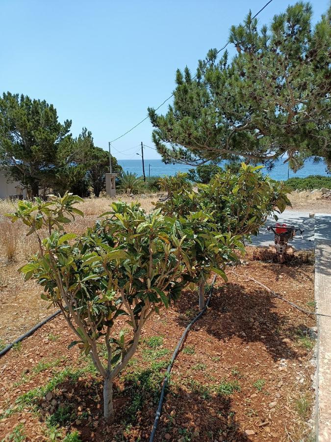 Sea View Pine House Villa Makrýgialos Екстериор снимка